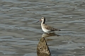05 03 15_2347_edited-1